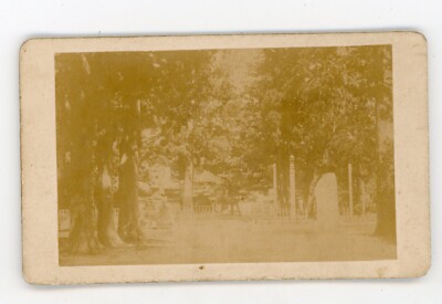 PHOTO CDV JAPAN JAPAN, a forest a wood a park a garden