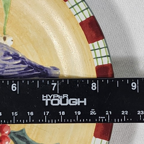 6 Lenox Winter Greetings Everyday Salad Plates Nuthatch 8.5” Tartan Plaid Rim - Picture 7 of 7