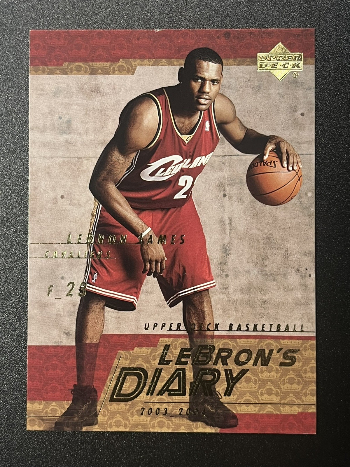 2003-04 Upper Deck - Lebron's Diary LeBron James #LJ13 (RC)