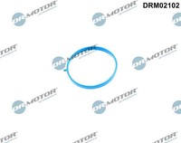 Dr. Motor Automotive DRM02102 Dichtung, Drosselklappe FüR Ford, Mazda
