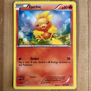 1x - Torchic - 25/160 - Sheen Holo Collector Chest Exclusive NM, English Pokemon
