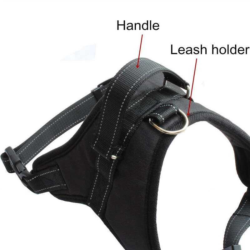 Dog Harness S M L XL Adjustable Collar Labrador Husky Malamute German Shepherd