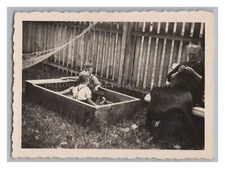Grandmother Sewing & Boy in Sandbox - Vintage Photo 1930s