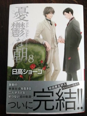 Bl Yaoi 憂鬱な朝 8 Shoko Hidaka 日本語 Ebay