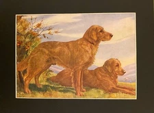 Vintage 1934 Golden Retriever - Langley  - CUSTOM MATTED - Dog Art Print Gift