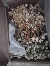 White Dried Baby's Breath Flowers Stem Bundles Bulk Lot Dried Flower Stems
