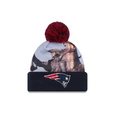 New England Patriots Collecting and Fan Guide 46