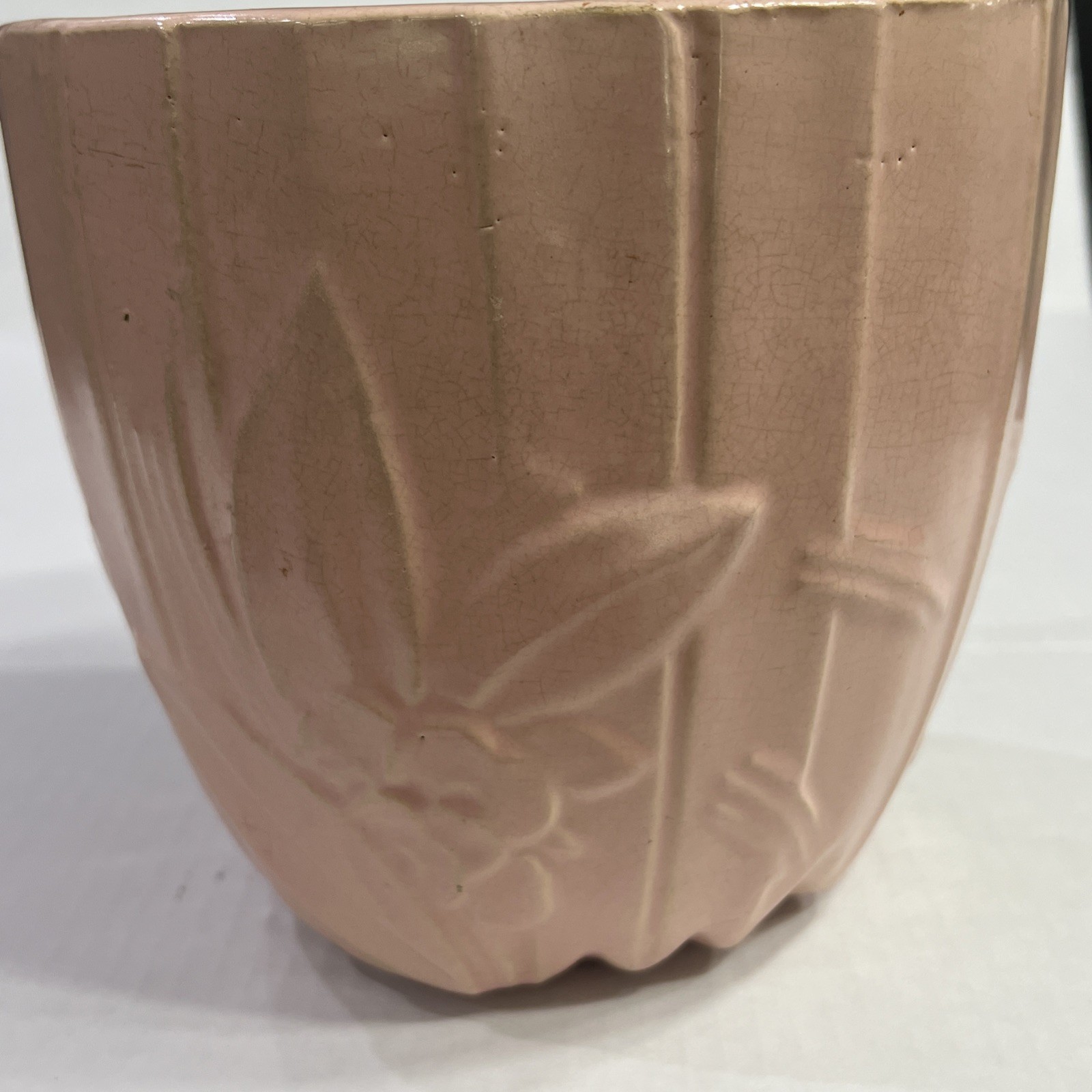 Picture 4 of 5