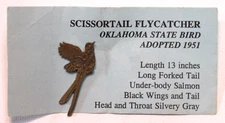 Scissortail Flycatcher Oklahoma State Bird Adopted 1951 Pin w/ Information Card