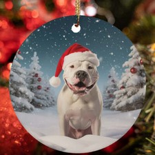 Cute Dogo Argentino Dog Santa Hat Snow Winter Christmas Ornament Gift Tree Decor