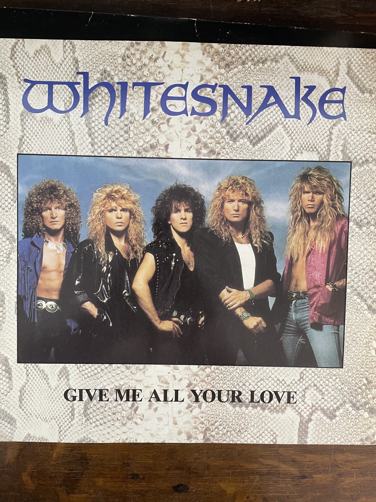 Whitesnake - Give Me All Your Love 12"" Vinyl Single - VG+/VG+