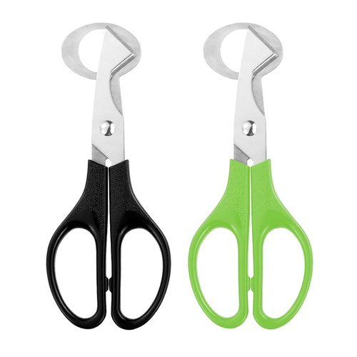 BESTONZON 2pz Forbici Taglia Quaglie Acciaio Inox Piccolo Uovo di Quaglia