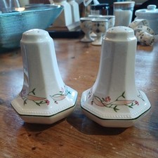 Vintage Johnson Brothers Eternal Beau Ceramic Salt & Pepper Shakers