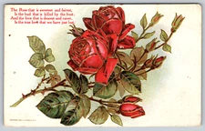Rose and Branch Thorns Poem Poetry Romance Antique Embossed Vintage Postcard