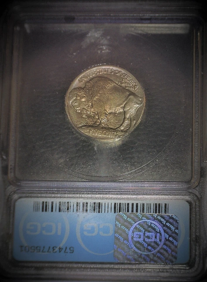 1913 Buffalo Nickel, ICG 65+,1ST. Year Classic, Gem Grade +, Toned, Issue Free - Image 2 of 2