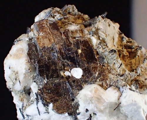 SELTENE AEGIRINE KUPLETSKITE ANCYLITE (Ce) Kristalle feines Mineral Präparat MSH - Bild 4 von 4