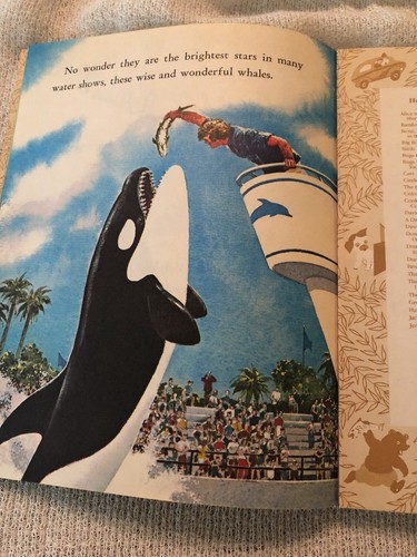 Ein kleines goldenes Buch Wale 1978 von Jane Werner Watson - Bild 5 von 7