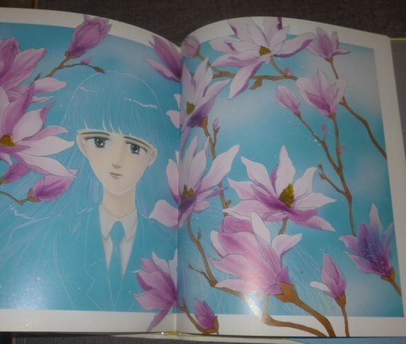 Saki Hiwatari Illustration Please Save My Earth Art Book