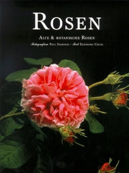 Rosen.  [Neubuch] Alte & Botanische Rosen Eleonore, Cruse und Starosta Paul: - Eleonore, Cruse und Starosta Paul