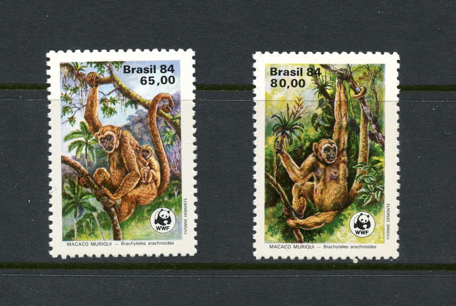 K711  Brazil  1984   fauna  Woolly Spider Monkey   2v.     MNH