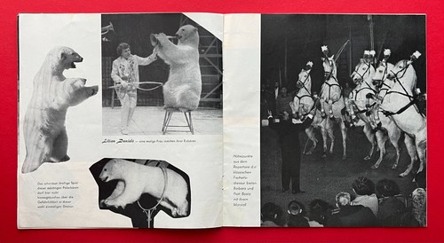 3 x Programm 1959/62 Zirkus SARRASANI ( F23576 - Bild 14 von 17