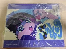 Panty  Stocking with Garterbelt Canvas Board