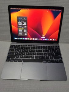 MacBook Retina 12in 2017 | eBay