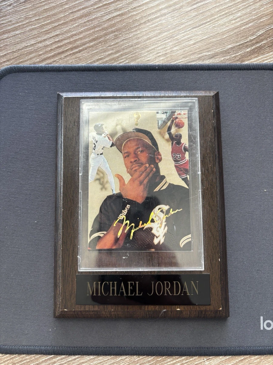 Michael Jordan Chicago White Sox Baseball Vintage Sports