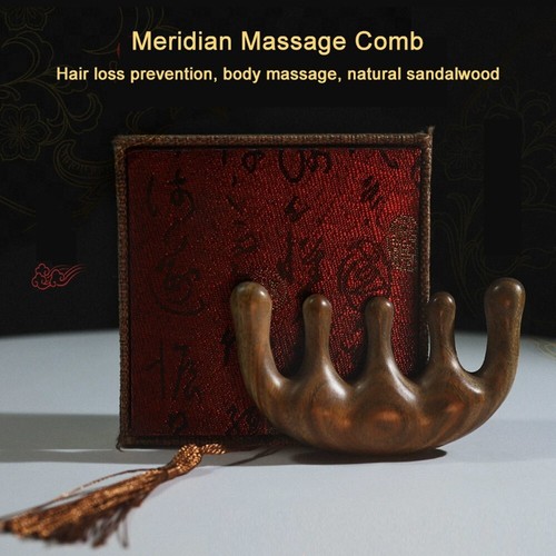 Sandalwood Meridian Head Massage Comb Hair Therapy Acupoint Dredge Scraping - Bild 5 von 12