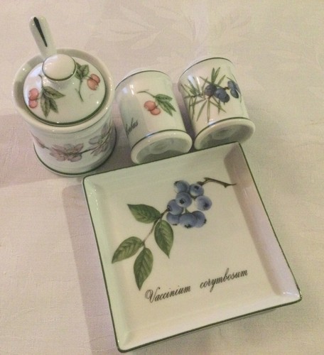 Apilco “Elysian Garden”Cruet.Salt,Pepper,Mustard Pot,Spoon & Tray.Made in France - Picture 9 of 10