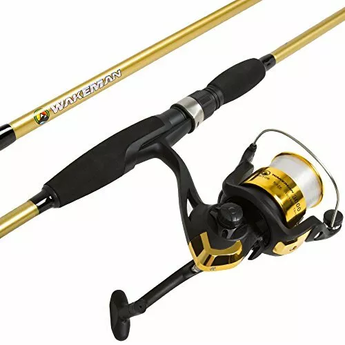 Spinning Reel Fishing Pole Bass and Trout Fishing, Gold – Lake Fishing 6.5  feet