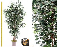 KüNstlicher Ficus Elegance 150Cm Mit Mehreren NaturstäMmen Von Ibizanos
