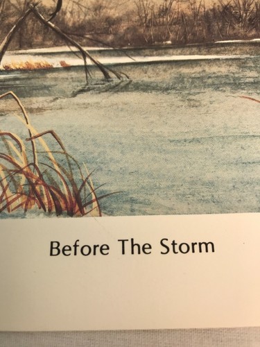 Stampa Allen Hughes Before the Storm 1980 anatre 13x10 arte vintage - Foto 3 di 7