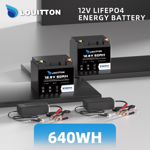 12V / 24V 100Ah 200Ah 300Ah LiFePO4 Bateria litowa BMS do kampera Solar - Zdjęcie 26 z 155