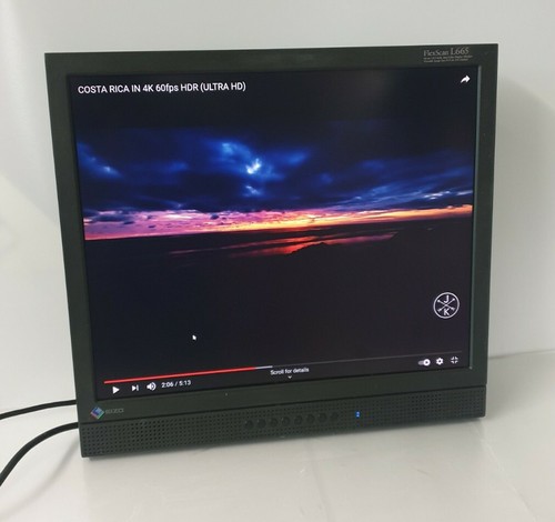 19'' Monitor Screen FlexScan cctv or pc to use good for wall mount Grade B L665 - Picture 1 of 12