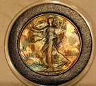 1937 WALKING LIBERTY HALF DOLLAR TONED ID NO. E-292