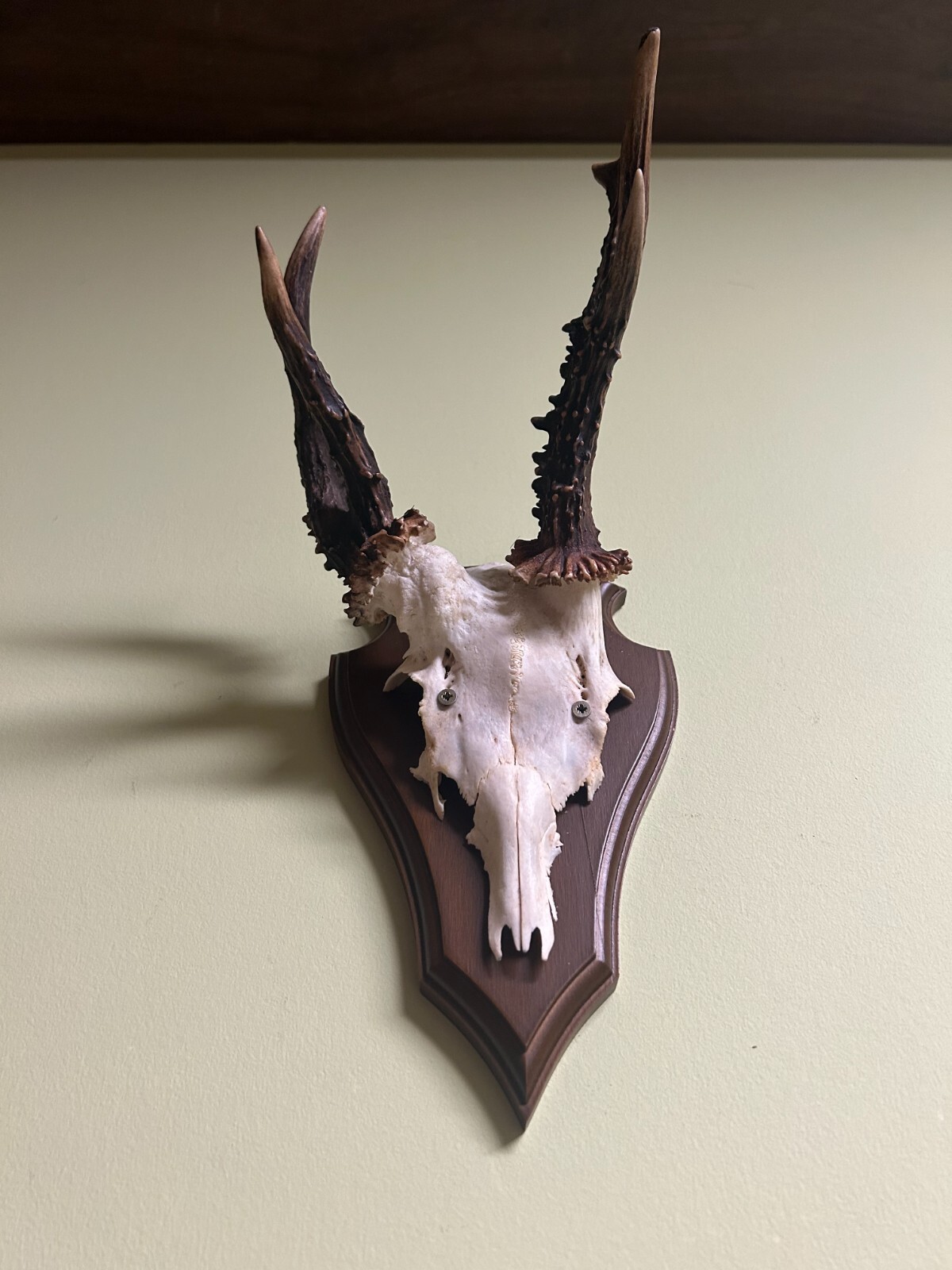 Picture 4 of 4