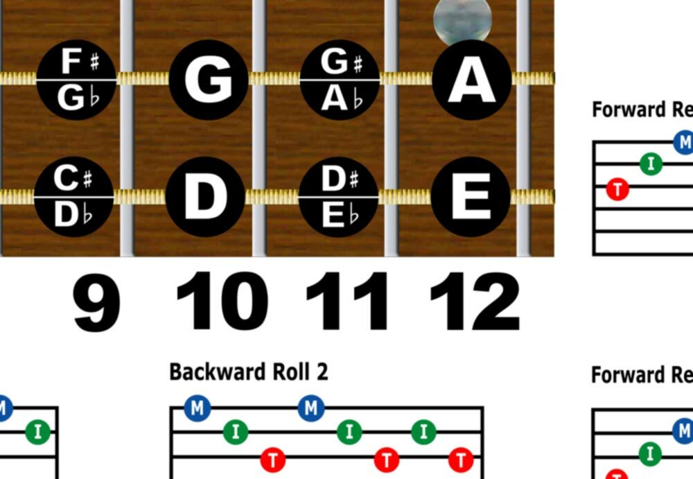Dobro Fretboard Wall Chart Resonator Guitar Poster A Tuning Notes Rolls ...