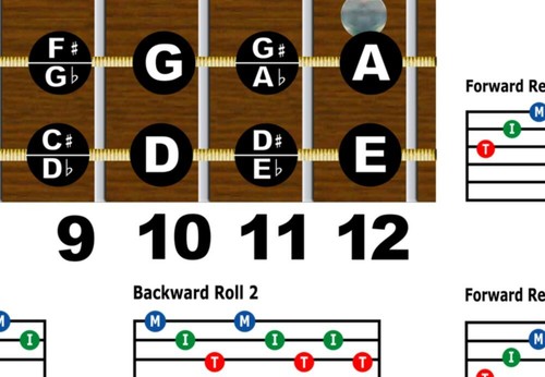 Dobro Fretboard Wall Chart Resonator Guitar Poster A Tuning Notes Rolls ...
