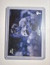 2024 Topps Black & White  Alec Bohm #79 Blue 01/49 First on print O3