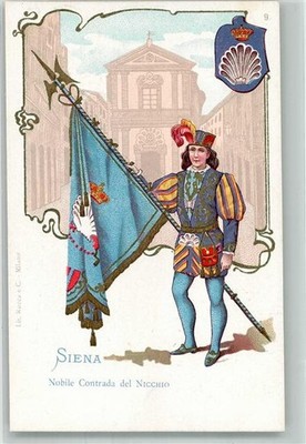 13573063 - Siena Nobile Contrada del Nicchio Flag Coat of Arms Costume Uniform