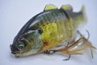 Jackall GANTAREL 160mm 70g Floating Glide Bait Ghost Bluegill Very Good