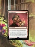 Stranglehold Commander Anthology NM MTG