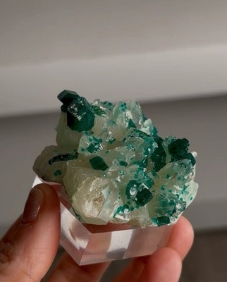 Emerald Green Dioptase with Calcite   Striking Contrast from a New Discovery
