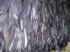 Picture 4 of 6