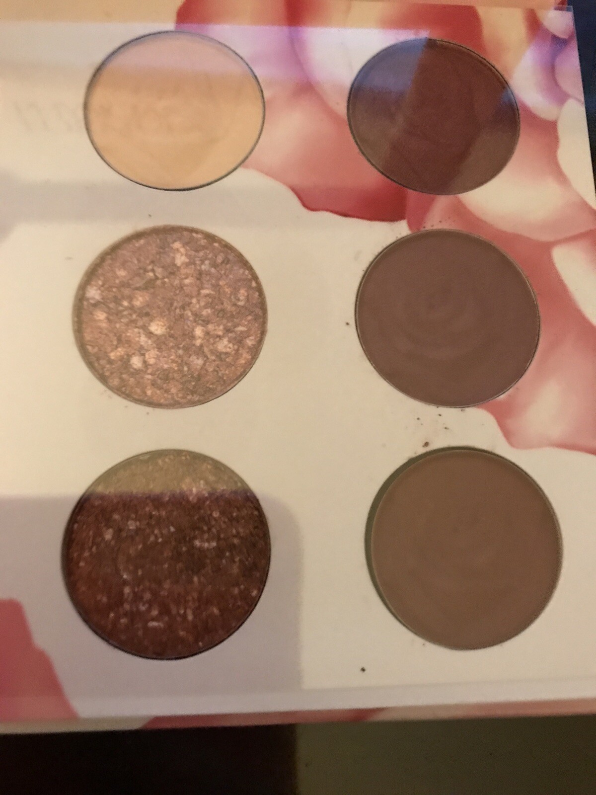 Picture 5 of 5
