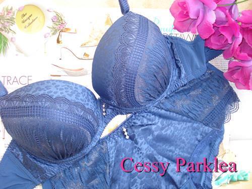 Lace Satin Molded Cup Push Up Bra Set Thong Boyshort France 36B-42B AU10B-16C - Foto 4 di 12