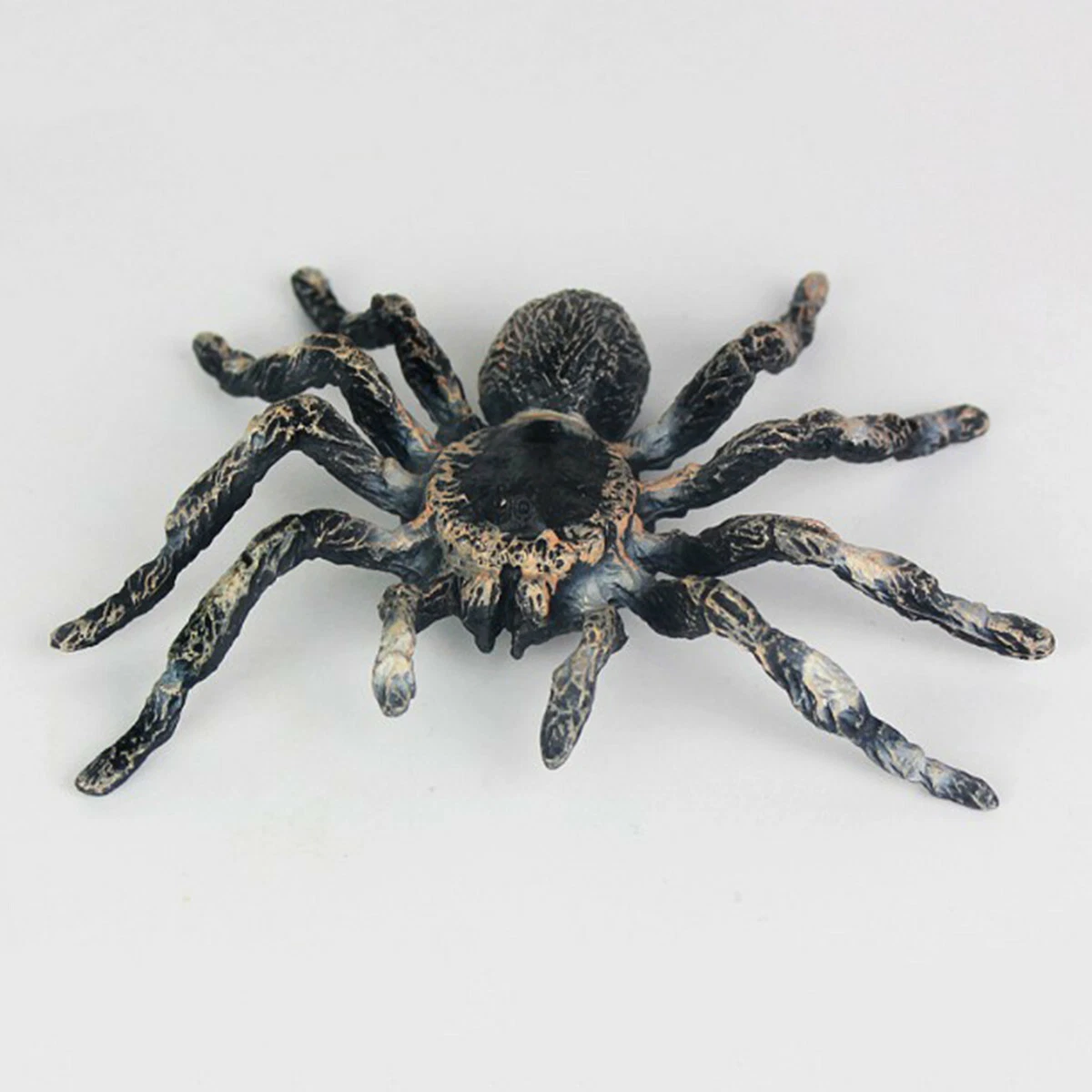 Real on sale halloween spider