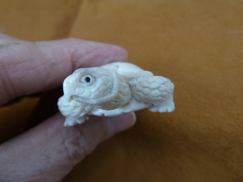 TURT-w60 little white Tortoise Turtle shed ANTLER figurine Bali detailed baby - Picture 2 of 3