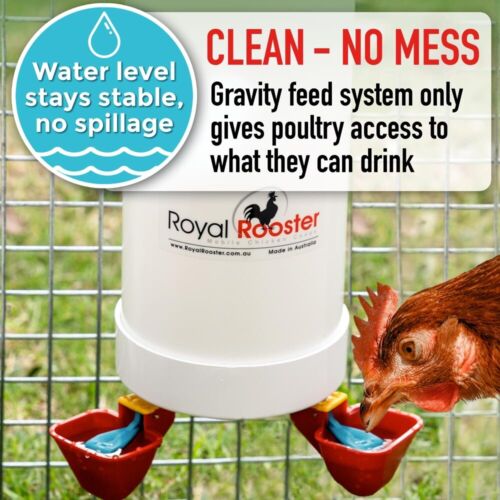 ROYAL ROOSTER Chicken / Poultry Coop - Single Waterer / Drinker with twin cups - Picture 9 of 13